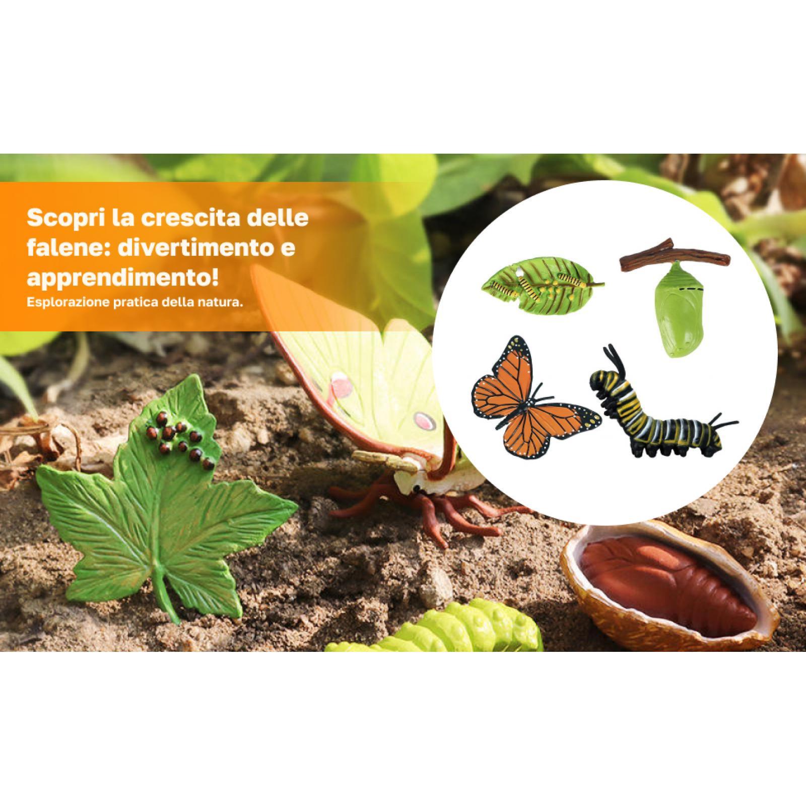 Kids Bee Growth Life Cycle Fig - Kids Education Sites recension och pris