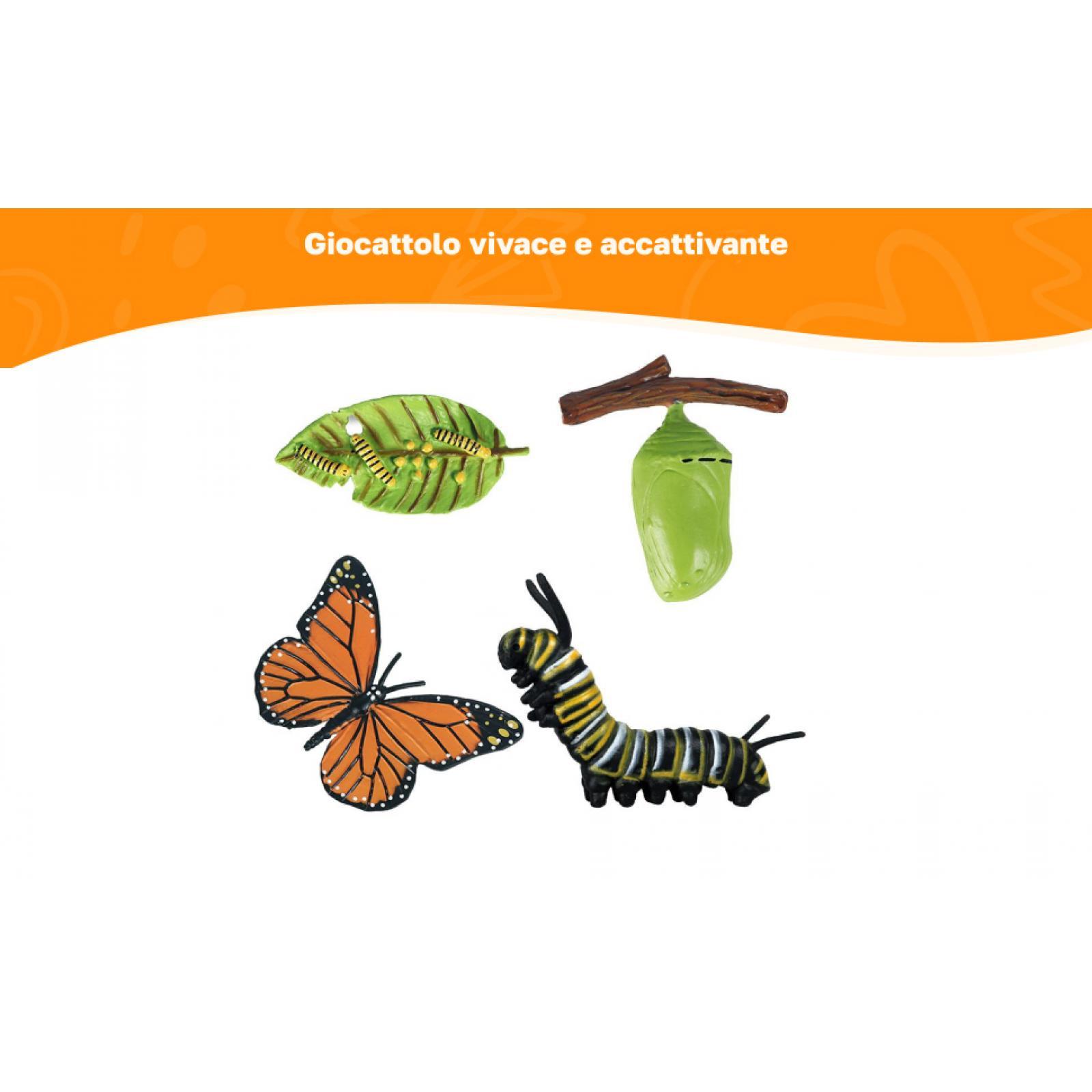 Kids Bee Growth Life Cycle Fig - Kids Education Sites recension och pris